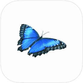 app-icon