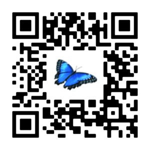 QR-Code für Apple App-Store